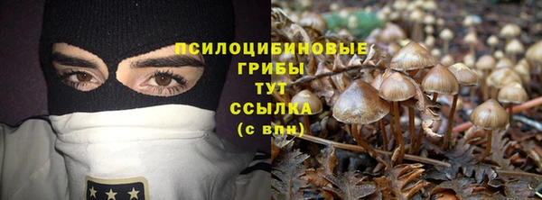 скорость Абаза