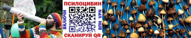 купить закладку  Кизилюрт  Галлюциногенные грибы Psilocybe 