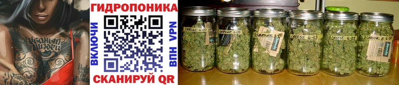 Бошки Шишки SATIVA & INDICA  Кизилюрт 